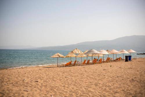 Photo of Outdoor in Messini