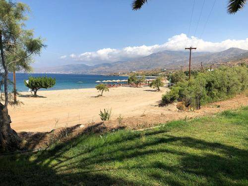 Photo of Others in Karystos