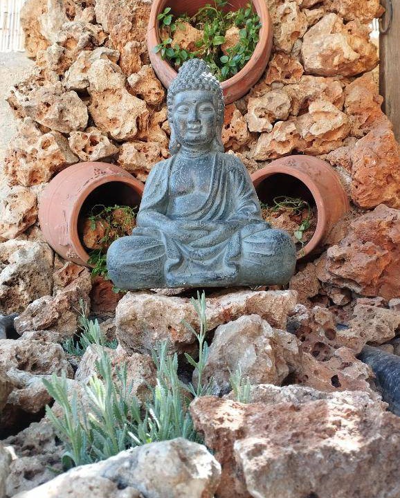 Photo of Others in Chania Town