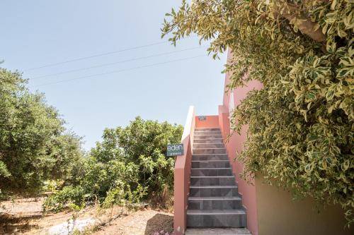 Photo of Others in Gialos
