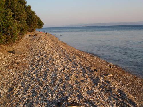 Photo of Others in Agios Mamas