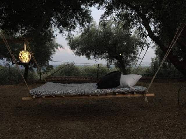 Photo of Others in Pangaio