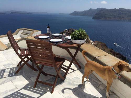 Photo of Others in Oia