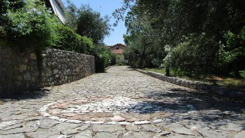 Photo of Others in Paralia Vergas
