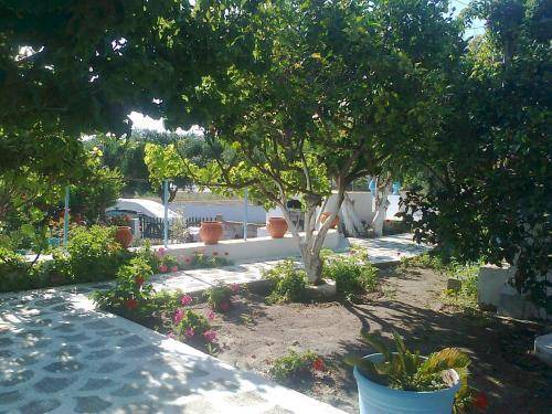 Photo of Others in Kefalos
