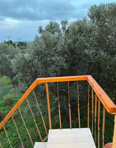 Photo of Others in Ormos Agiou Ioannou