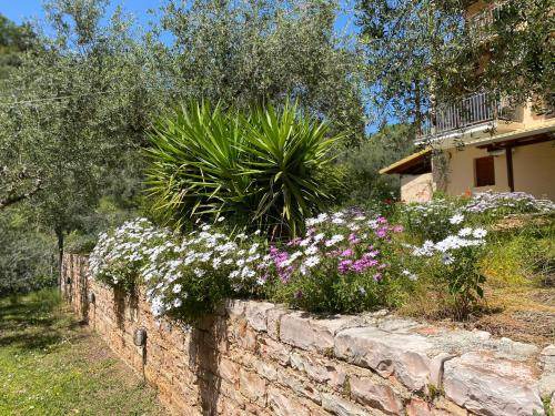 Photo of Buildings in Sivota