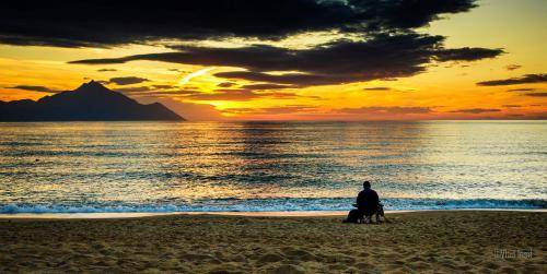 Photo of Others in Sarti