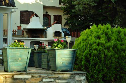 Photo of Others in Skala Sotiros