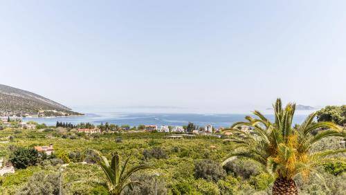 Photo of Others in Melissopetra
