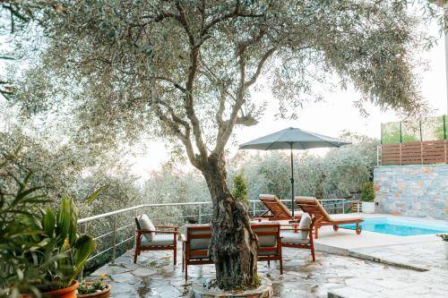 Photo of Others in South Pelion