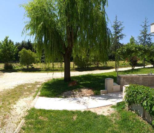 Photo of Others in Ioannina