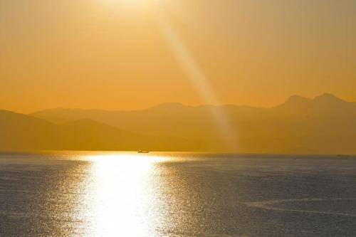 Photo of Others in Rafina-Pikermi