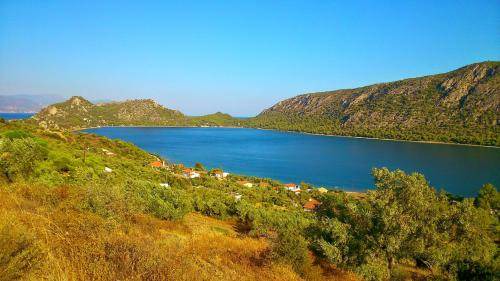 Photo of Others in Skaloma