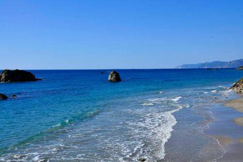 Photo of Others in Skala