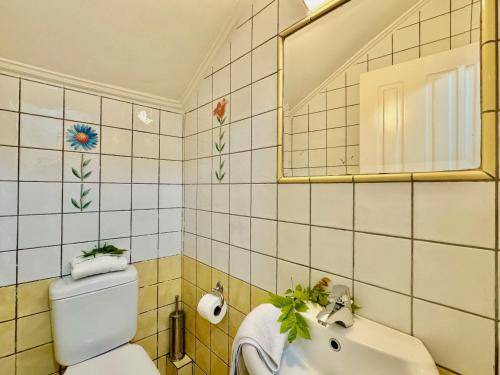 Photo of Bathroom in Esperion