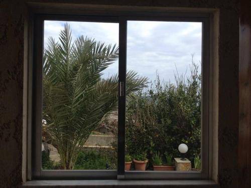 Photo of Others in Agia