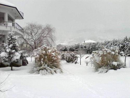 Photo of Others in Ioannina