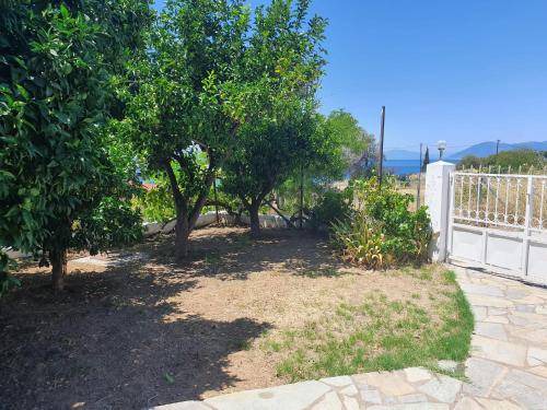 Photo of Others in Agios Mamas
