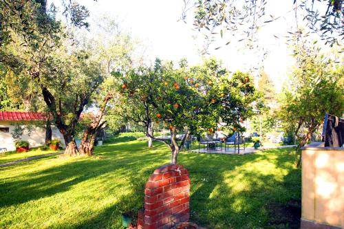 Photo of Others in Sfakera