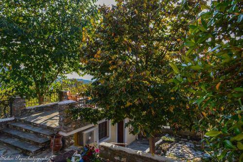 Photo of Others in Agia