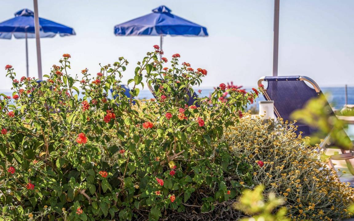 Photo of Outdoor in Stavros