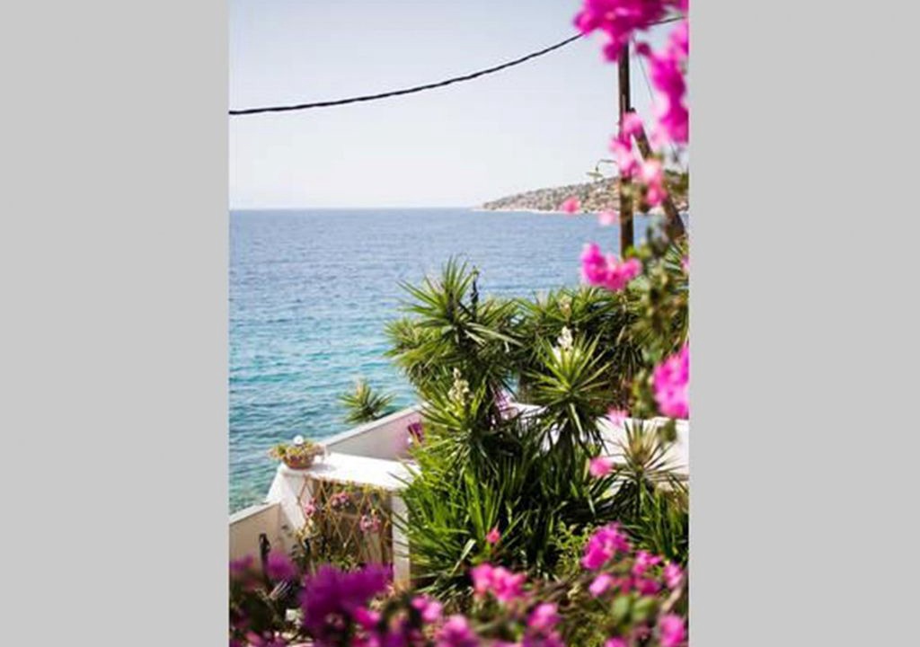 Photo of Others in Salamis