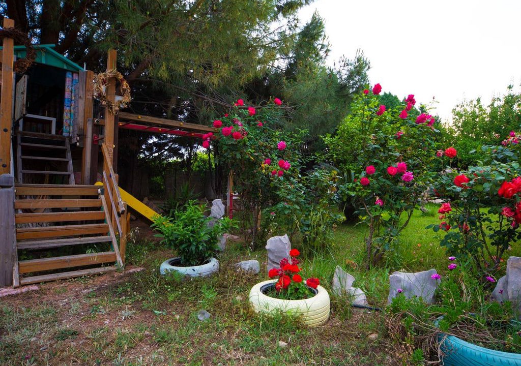 Photo of Others in Limnos