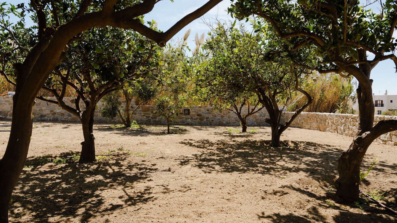 Photo of Outdoor in Glinado