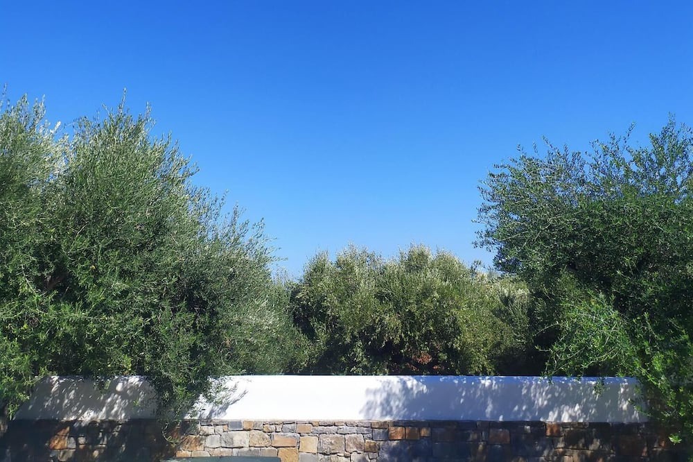 Photo of Outdoor in Old Hersonissos