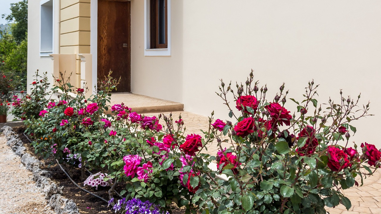 Photo of Outdoor in Alikianos