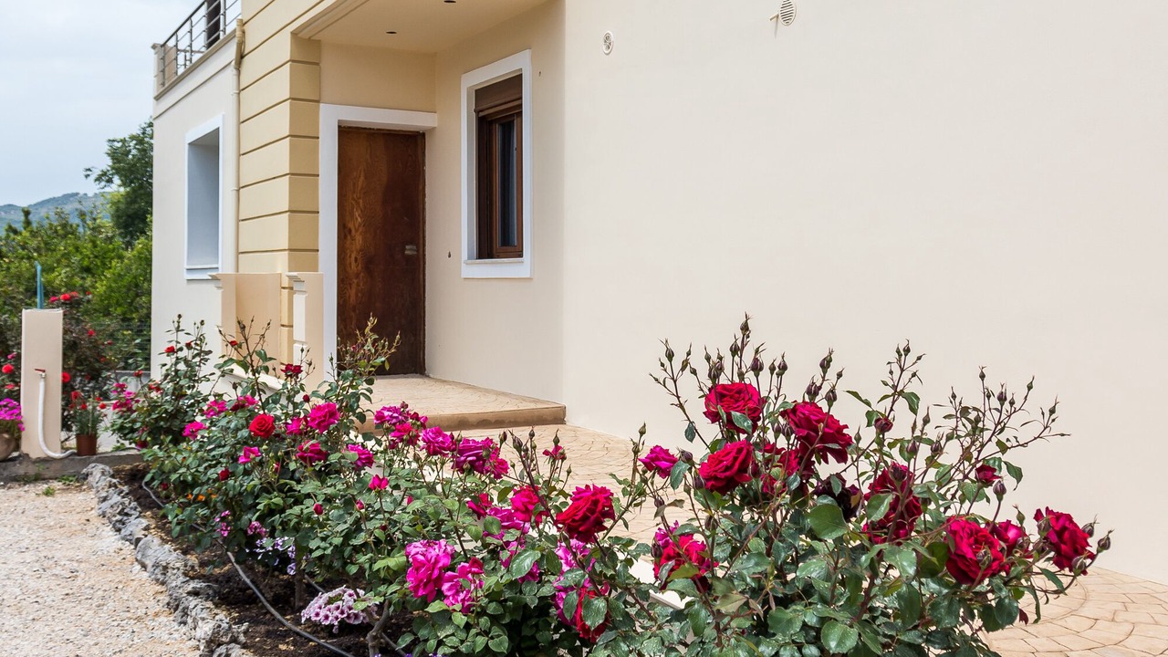 Photo of Outdoor in Alikianos