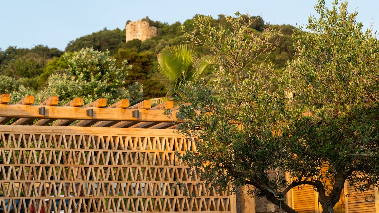 Photo of Outdoor in Katakolo