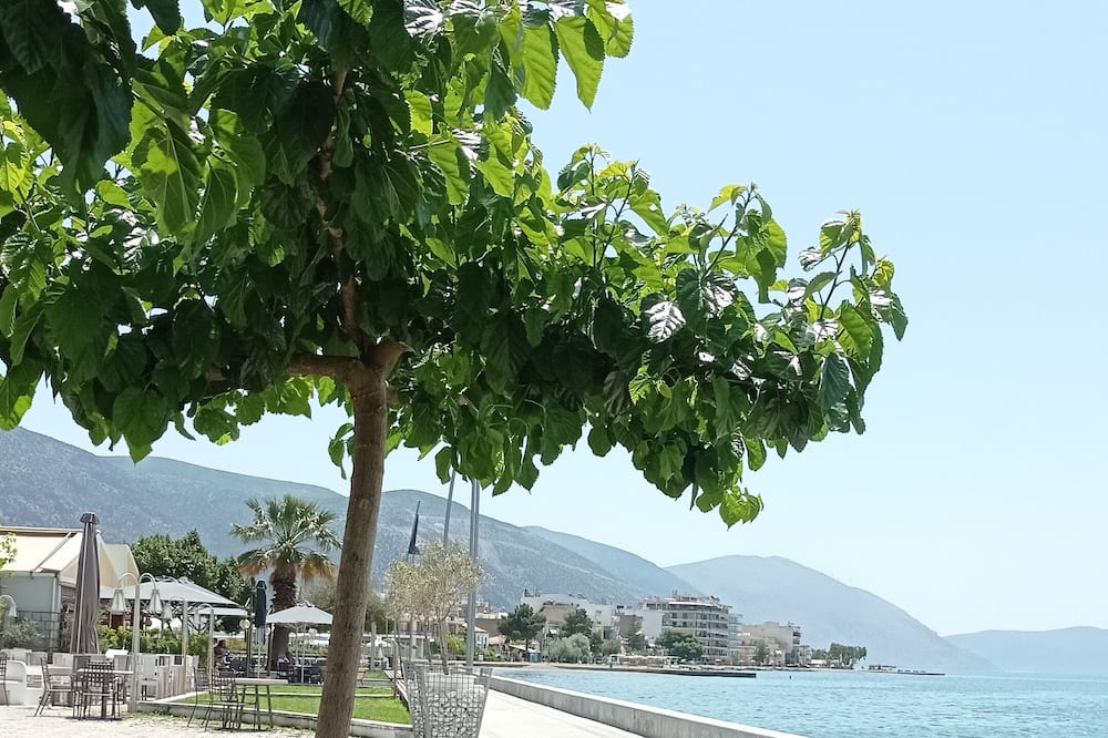 Photo of Patio Balcony in Itea
