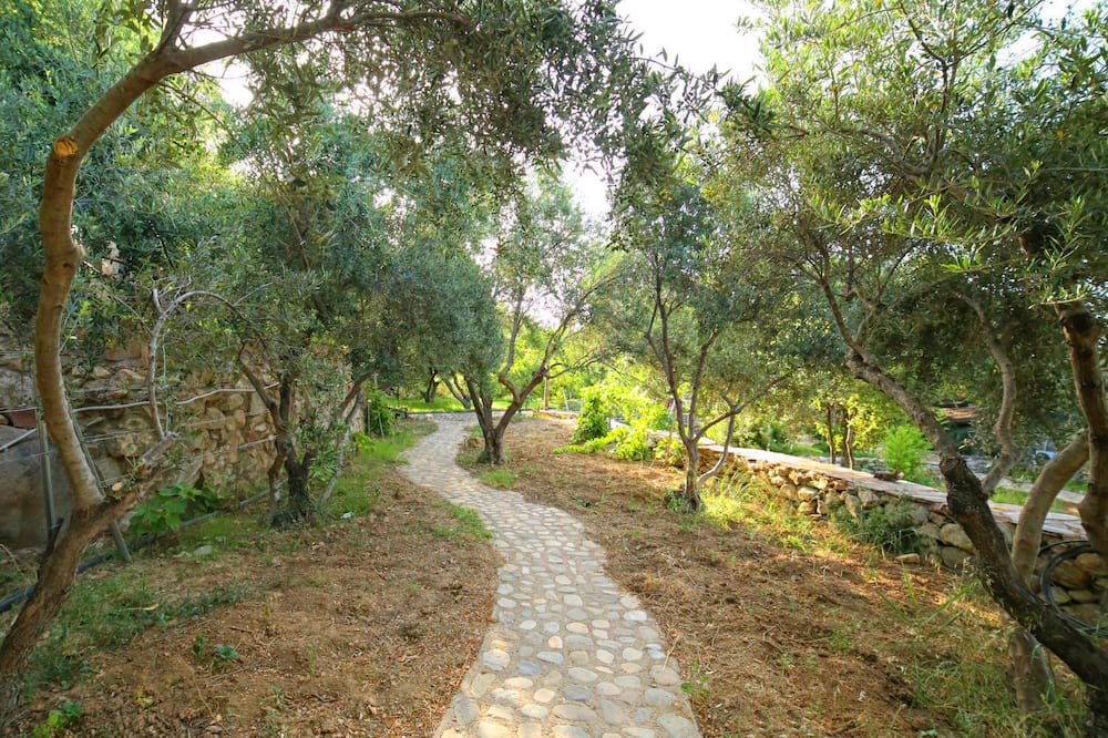 Photo of Outdoor in Ikaria