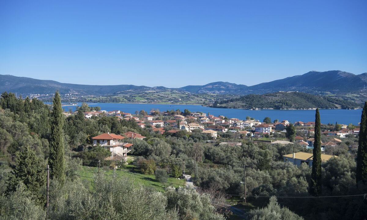 Photo of Others in Lygia
