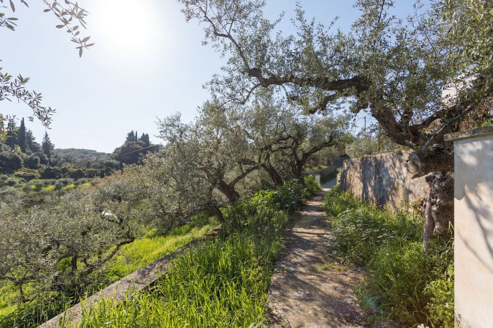 Photo of Outdoor in Kypseli