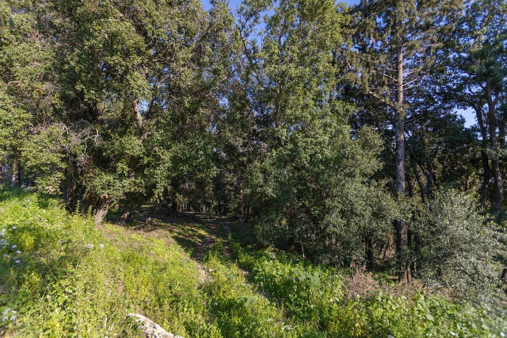 Photo of Outdoor in Kypseli