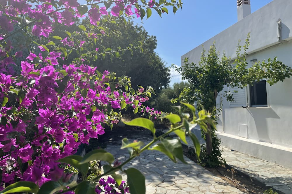 Photo of Outdoor in Limenas Chersonisou