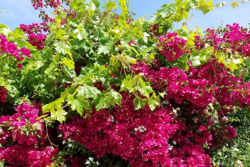 Photo of Outdoor in Manganos
