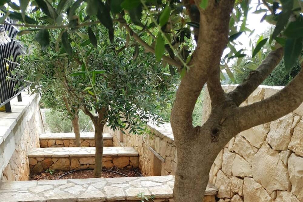 Photo of Outdoor in Manganos