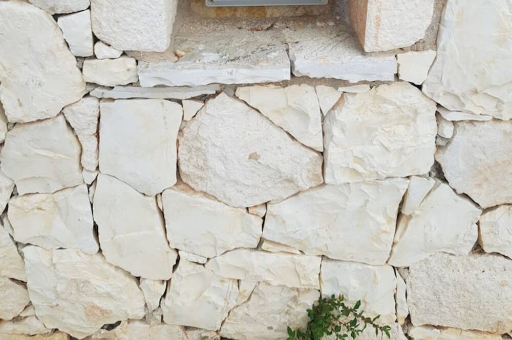 Photo of Others in Manganos