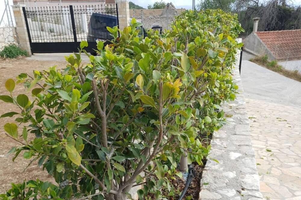 Photo of Outdoor in Manganos
