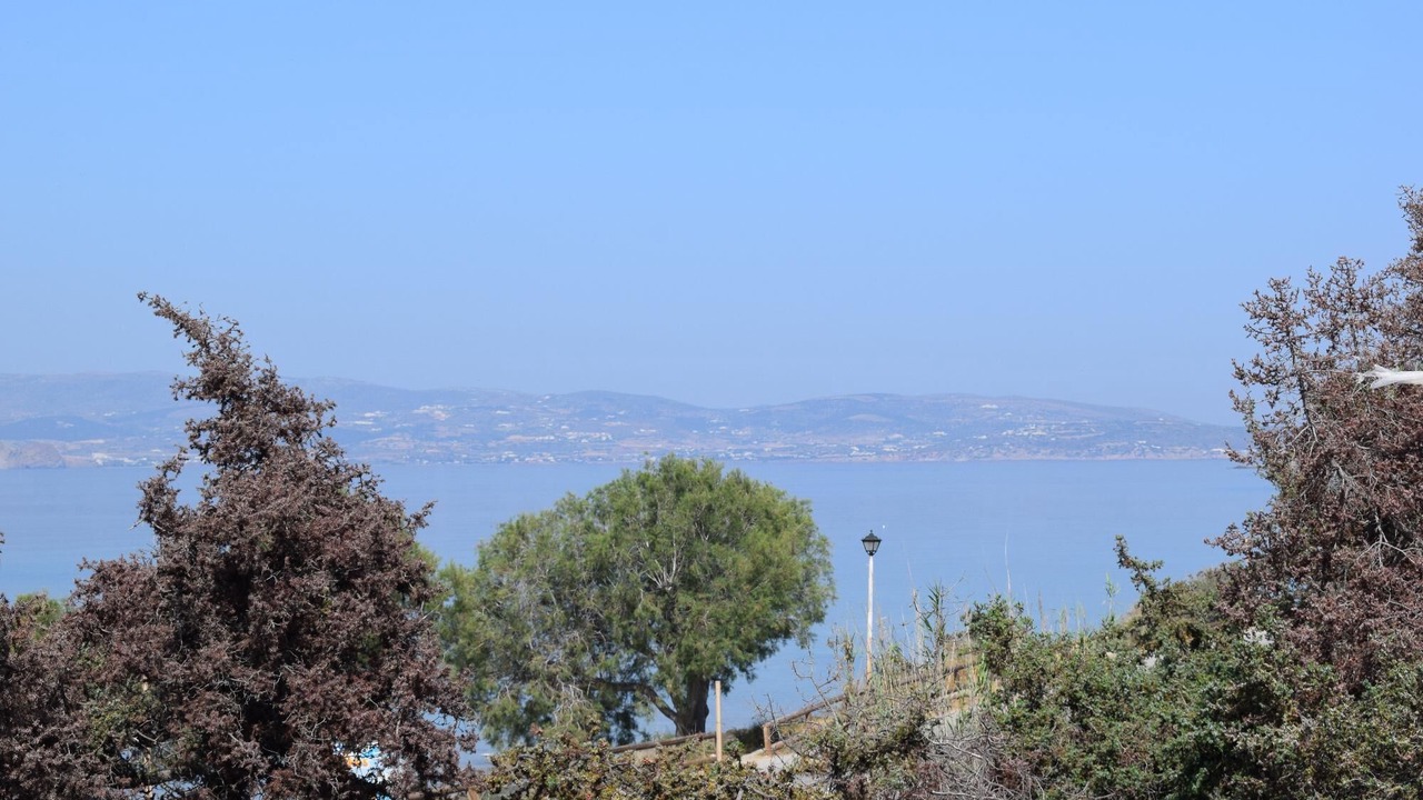 Photo of Others in Naxos