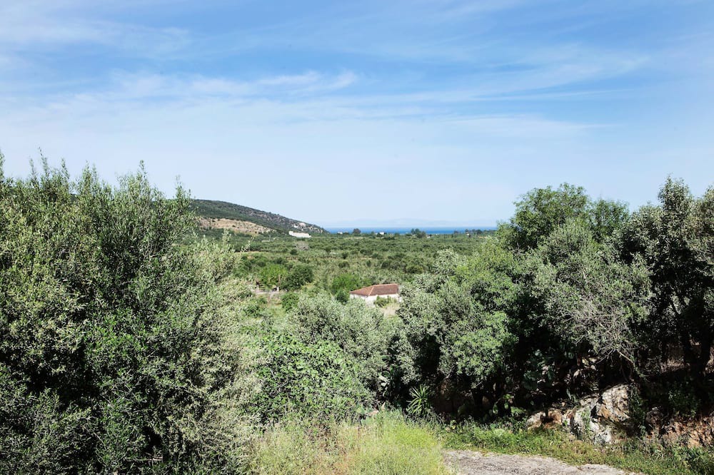 Photo of Outdoor in East Mani