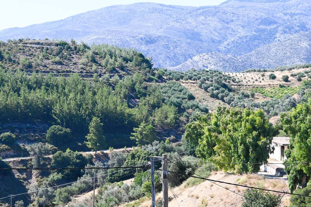 Photo of Others in Astiraki