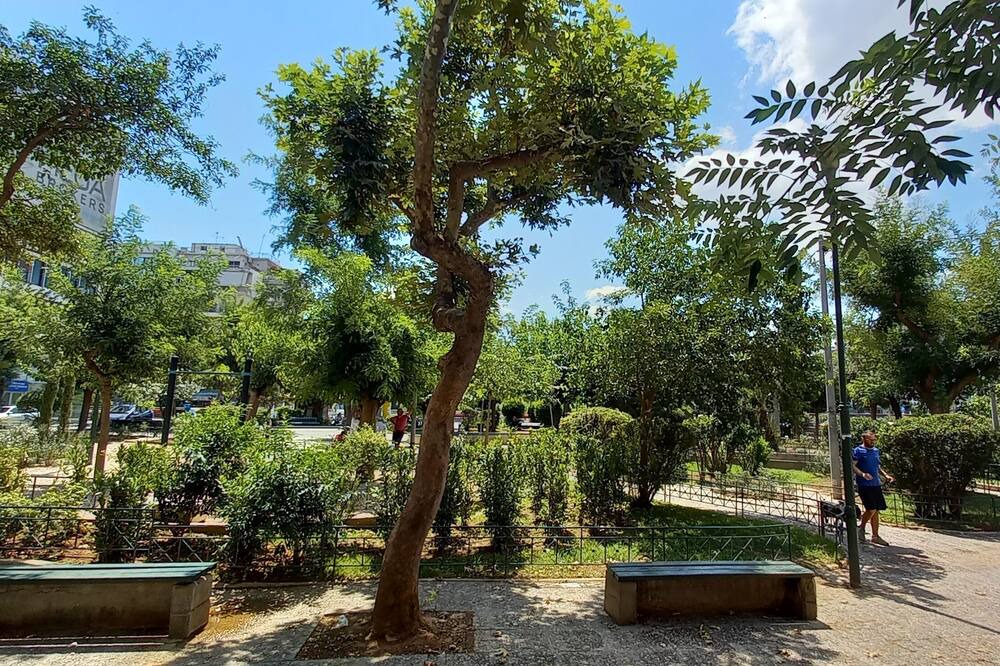 Photo of Outdoor in Filopappou