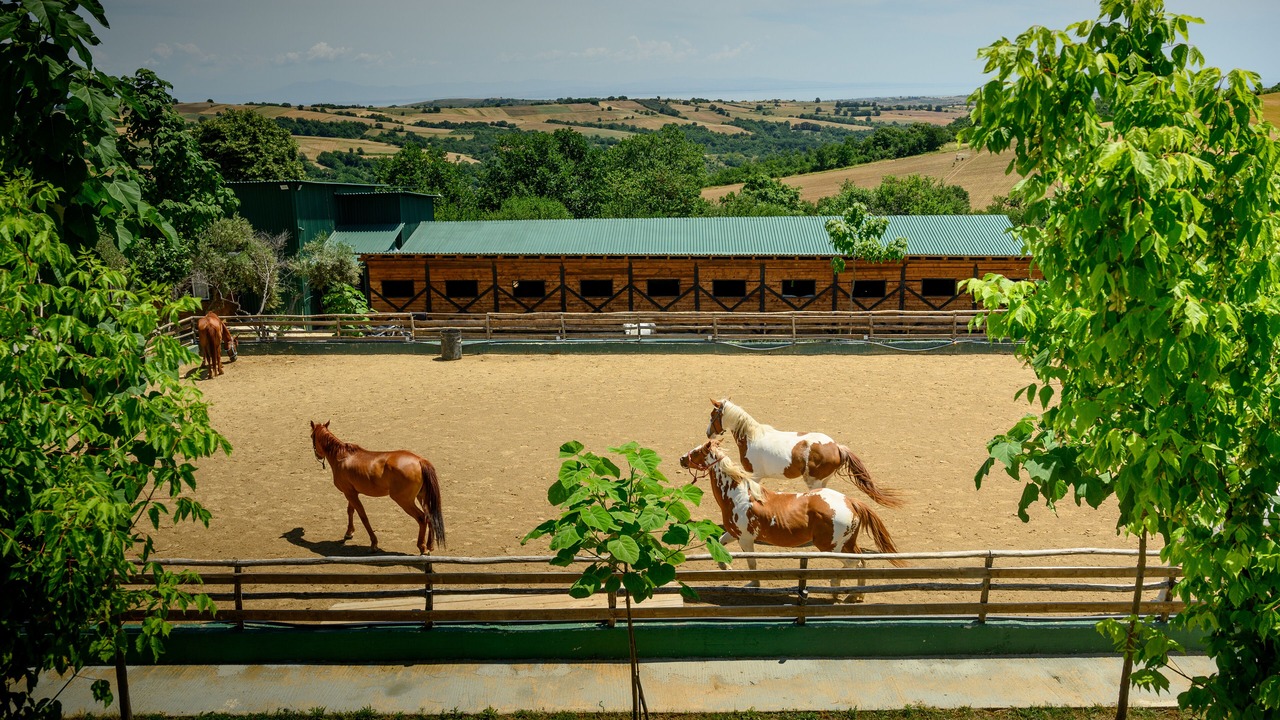 Photo of Others in Pydna-Kolindros
