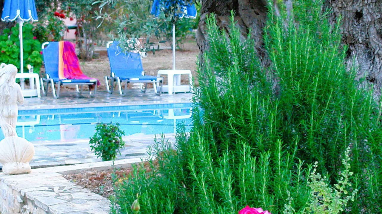 Photo of Outdoor in Asteri
