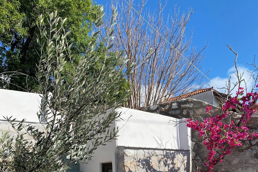 Photo of Outdoor in Areopoli